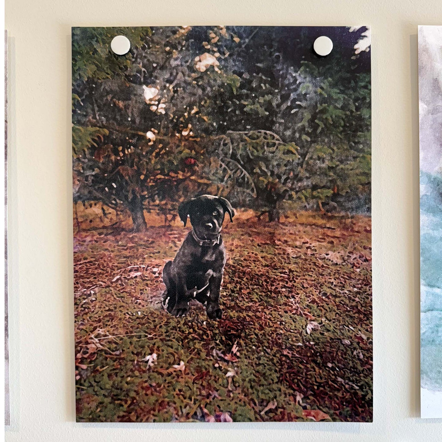 Personalized Watercolor Pet Portrait | Custom Pet Art Print