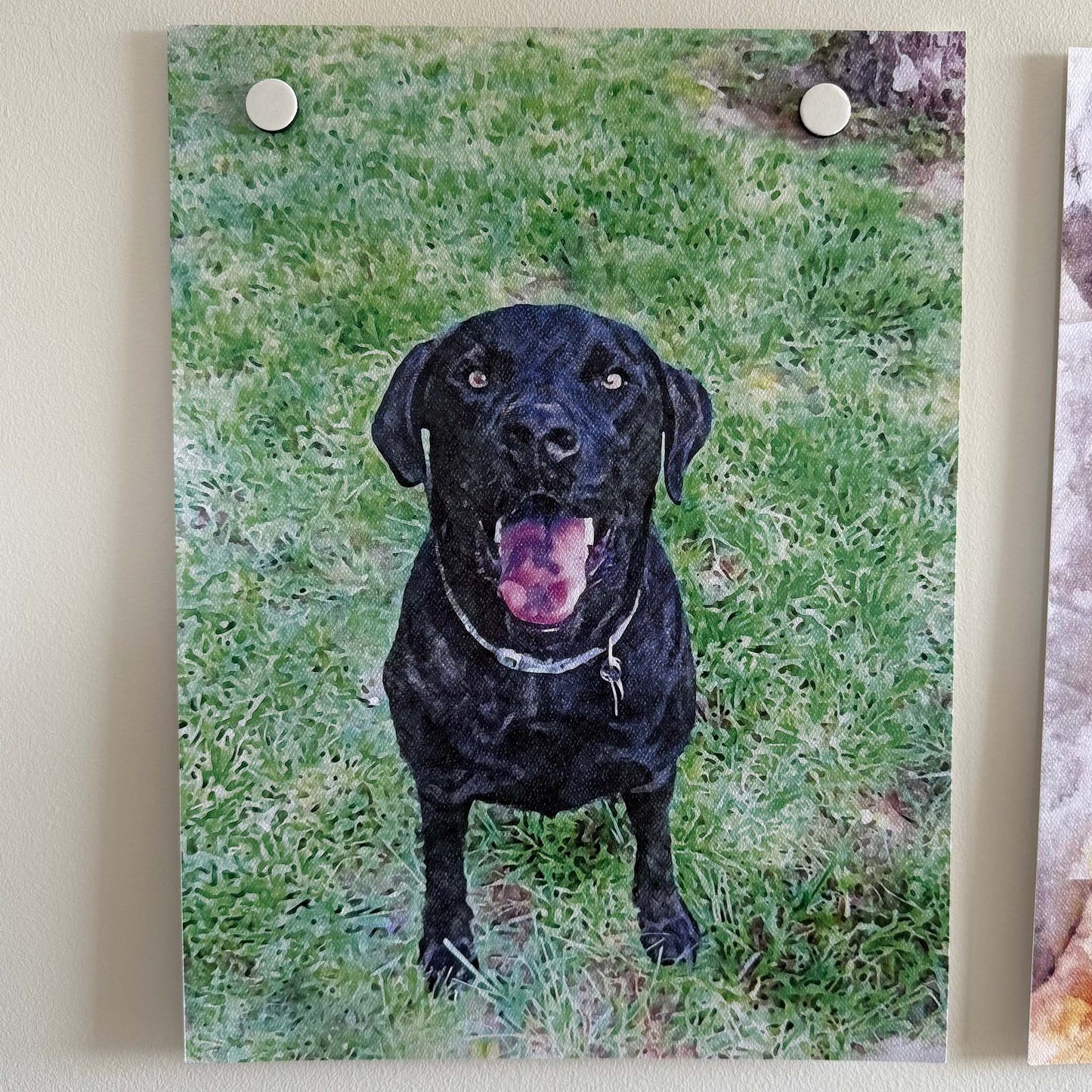 Personalized Watercolor Pet Portrait | Custom Pet Art Print